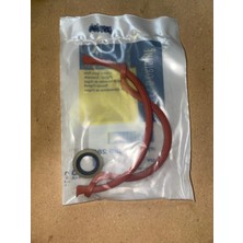 Mais Renault 9/11/19 Brodway Spring Arka Kartel Conta Takımı Pullu