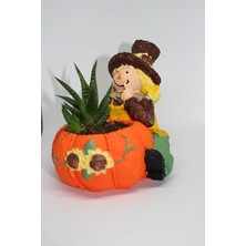 Misda Store Kız Figürlü Saksı + Canlı Sukulent Bitkili