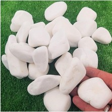 Dolomit Taş 25 kg 2-4 cm Beyaz Dolomit Taş Saksı Dibi Dekoratif Taş Bahçe Süsleme Taşı Peyzaj Taşı