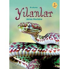 Ilk Okuma - Yılanlar