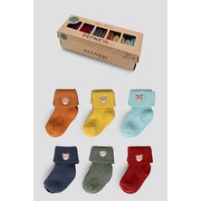 Defne Baby 6 Çift Kutulu Hayvan Aksesuarlı Pamuklu Kız Newborn Yeni Doğan ve Bebek Çorabı 0-6 Ay