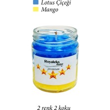 MELENERS Premium Seri 2 Renk 2 Koku Sarı Lacivert Beş Yıldız Kavanoz Mum 210 cc - Ryl
