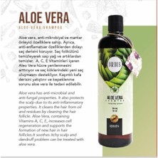 Mena Rise Orbis Aloe Vera Özlü Şampuan 700 ml