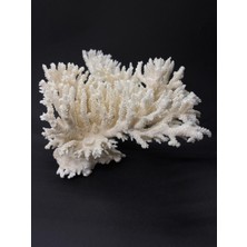 Gemsartdeco Ince Dal Mercan Coral Cluster