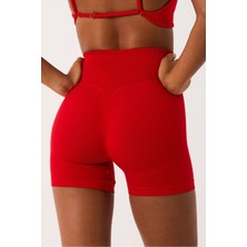 Cervus Aura Spor Şort Yüksek Bel Esnek Şekillendirici ve Toparlayıcı Seamless Tayt Kısa Şort