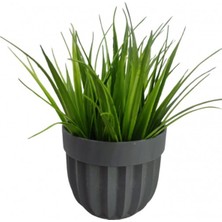 MELENERS Çizgili Saksı Sazlı Çiçek ROYALEKS-5782