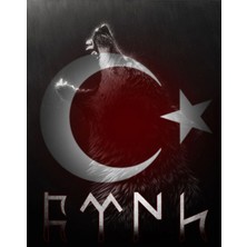 Aydın Garage Araba Kapı Direk Kaplama Folyosu Kurt