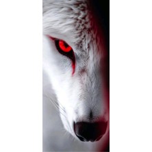 Aydın Garage Araba Kapı Direk Kaplama Folyosu Kurt