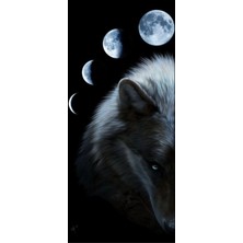 Aydın Garage Araba Kapı Direk Kaplama Folyosu Kurt ve Ay Evreleri