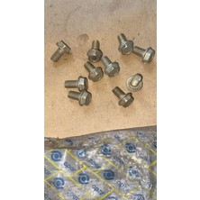 Opar Tofaş Doğan Kartal Şahin Murat 131 Eski Model Çamurluk Civatası 10 Adet