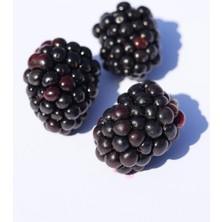 Aktar Depo Böğürtlen Meyvesi 250 gr