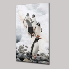 SteelArtDec Penguenler - Cam Tablo - DEG0028