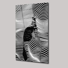 SteelArtDec Siyah ve Beyazın Içinde - Cam Tablo - DEG0197