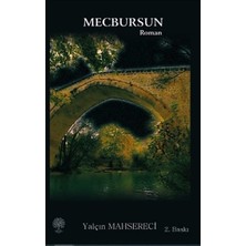 Platanus Publishing Mecbursun