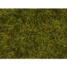 Noch 7110 Yabani Otlar, Çayır Yeşili, 12 Mm, 40 Gram Diorama Malzemesi