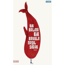 Ketebe Yayınları Bir Balina Bir Bavula Nasıl Sığar (Ciltli)