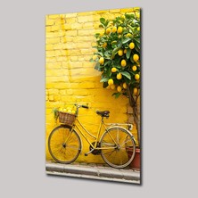 SteelArtDec Limon Ağacı ve Bisiklet - Cam Tablo - DEG0155