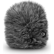 WS12 Stüdyo Aksesuarı