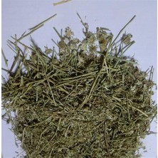 Aktar Depo Acı Ot 250 gr