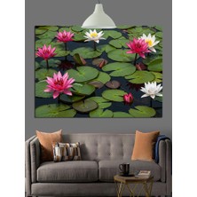 Artmeg Lotus Çiçekleri Su Yansıma Dekoratif Kanvas - Mdf Ahşap Tablo