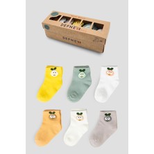 Defne Baby 6 Çift Kutulu Armut Aksesuarlı Pamuklu Kız Newborn Yeni Doğan ve Bebek Çorabı 0-6 Ay