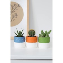 Beton Saksı Üçlü Set Küçük Boy Sukulent Saksısı (Turuncu)