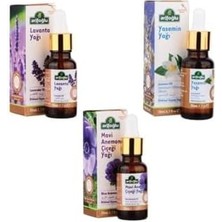 Mena Rise Arifoğlu Lavanta Yağı 20ML + Mavi Anemon Yağı 20 ml + Yasemin Yağı 20ML