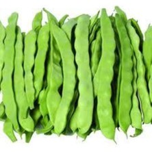 Tohumcumm 200 Adet Tohum Organik Kılçıksız Sırık Ayşe Kadın Fasülye Tohum Fasulye Tohumu Hediye Sebze Tohumlu