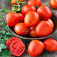 Tohumcumm 150 Adet Tohum Domates Tohumu Kışlık Konservelik Domates