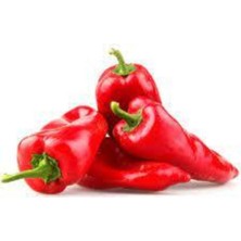 Tohumcumm 30 Adet Tohum Kırmızı Kapya Biber Tohumu Etli Pat Biber Kebaplık Biber Sürpriz Hediye Tohumludur