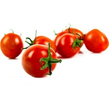 Tohumcumm Kiraz Domates Tohumu Misket Domates Tohumu 10 Adet Tohum