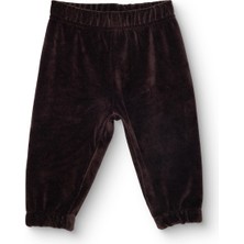 Hellobaby Erkek Bebek Kadife Eşofman Alt Lastikli Paça