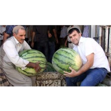 Tohumcumm Meşhur Diyarbakır Karpuzu Tohumu Karpuz Tohumu 10 Adet Tohum