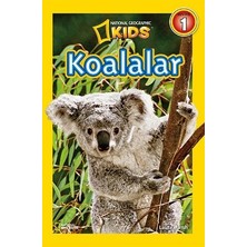 Beta Kids Koalalar