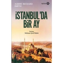 Yeditepe Yayınevi Istanbul'da Bir Ay