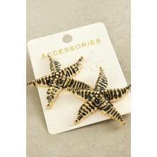 Gümüş Takıcım Deniz Yıldızı Mineli Zr Model Küpe