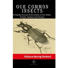 Platanus Publishing Our Common Insects