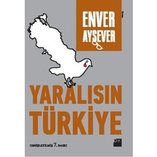 Doğan Kitap Yaralısın Türkiye