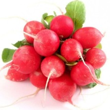 Tohumcumm Yerli Kırmızı Fındık Turp Tohumu 100 Adet Tohum