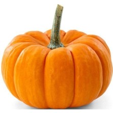 Tohumcumm Bal Kabağı Tohumu 15 Kabak Tohumu