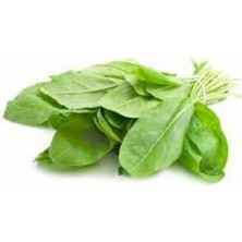 Tohumcumm 100 Adet Tohum Kuzu Kulağı Tohumu Koç Kulağı Tohumu Ekşi Otu Tohumu