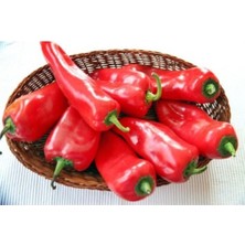 Tohumcumm Kapya Biber (Kapia Pepper) 25 Adet Tohum