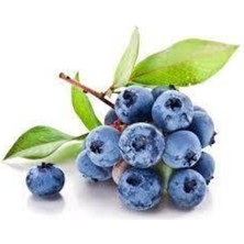 Tohumcumm 10 Adet Yaban Mersini Tohumu Blueberry Tohumu