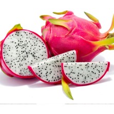 Tohumcumm Beyaz Pitaya Ağacı Tohumu İthal Nadir Ejder Meyvesi Thumu 10 Adet Tohum