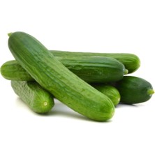 Tohumcumm Çengelköy Salatalık Tohumu Çengelköy Hıyar Tohumu 10 Adet Tohum