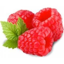 Tohumcumm Kırmızı Bögürtlen Tohumu 10 Adet Tohum + Saksı Toprak