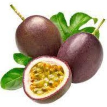 Tohumcumm Tohum İthal Passiflora Meyvesi Tohumu  3 Adet