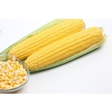 Tohumcumm Şeker (Tatlı) Mısır Tohumu  Yerli (30 Adet)