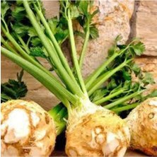 Tohumcumm Kereviz Tohum 5 Adet