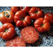 Tohumcumm 150 Adet Tohum Esas Yerli Nevşehir Organik Köy Domatesi Domates Tohumu Hediye Tohumludur